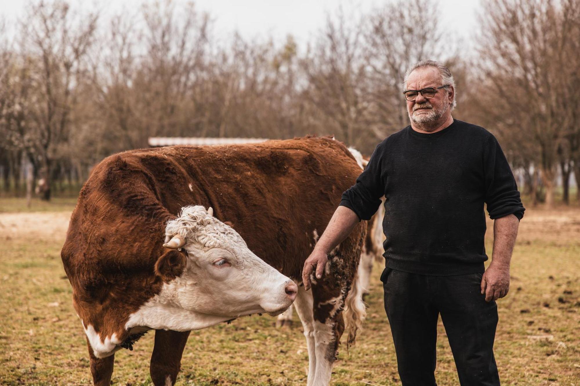 Agriturismo Borg Da Ocjs Medea المظهر الخارجي الصورة