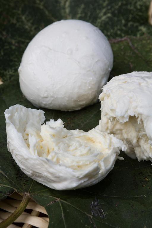 Agriturismo Borg Da Ocjs Medea المظهر الخارجي الصورة